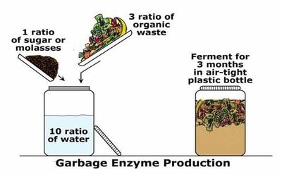 Bio-Enzyme Products