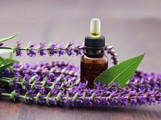 Sinusitis Oil - 15 ml