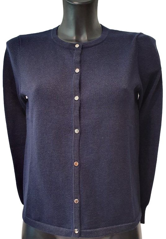 Green Ice Cardiff Gilet navy