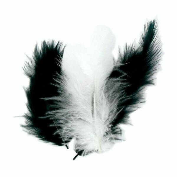 Plumes noires et blanches (les 50 pièces)