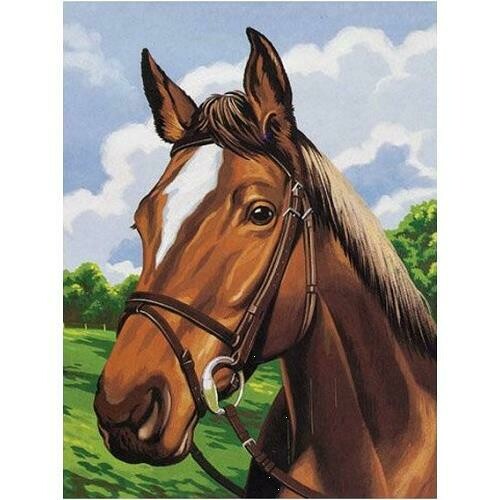 Kit complet canevas cheval - 100% coton - 15 x 20 cm