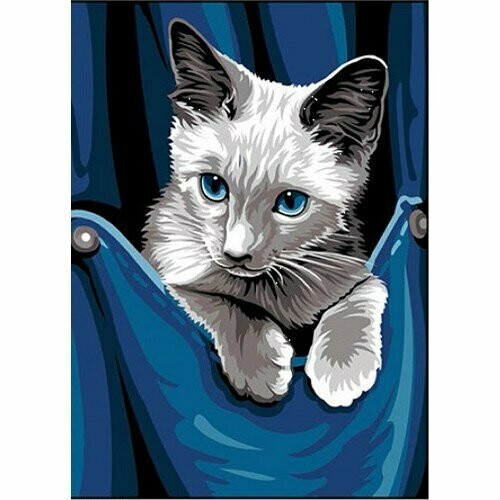 Kit complet canevas Chaton dans la poche - 100% coton - 22 x 33 cm - Marque Margot