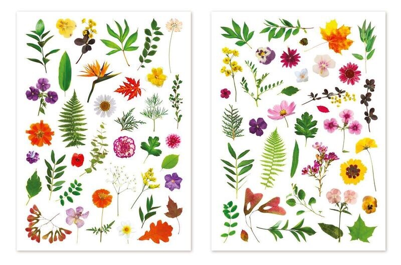 Gommettes herbier - 73 pièces - de 1,2 à  6 cm