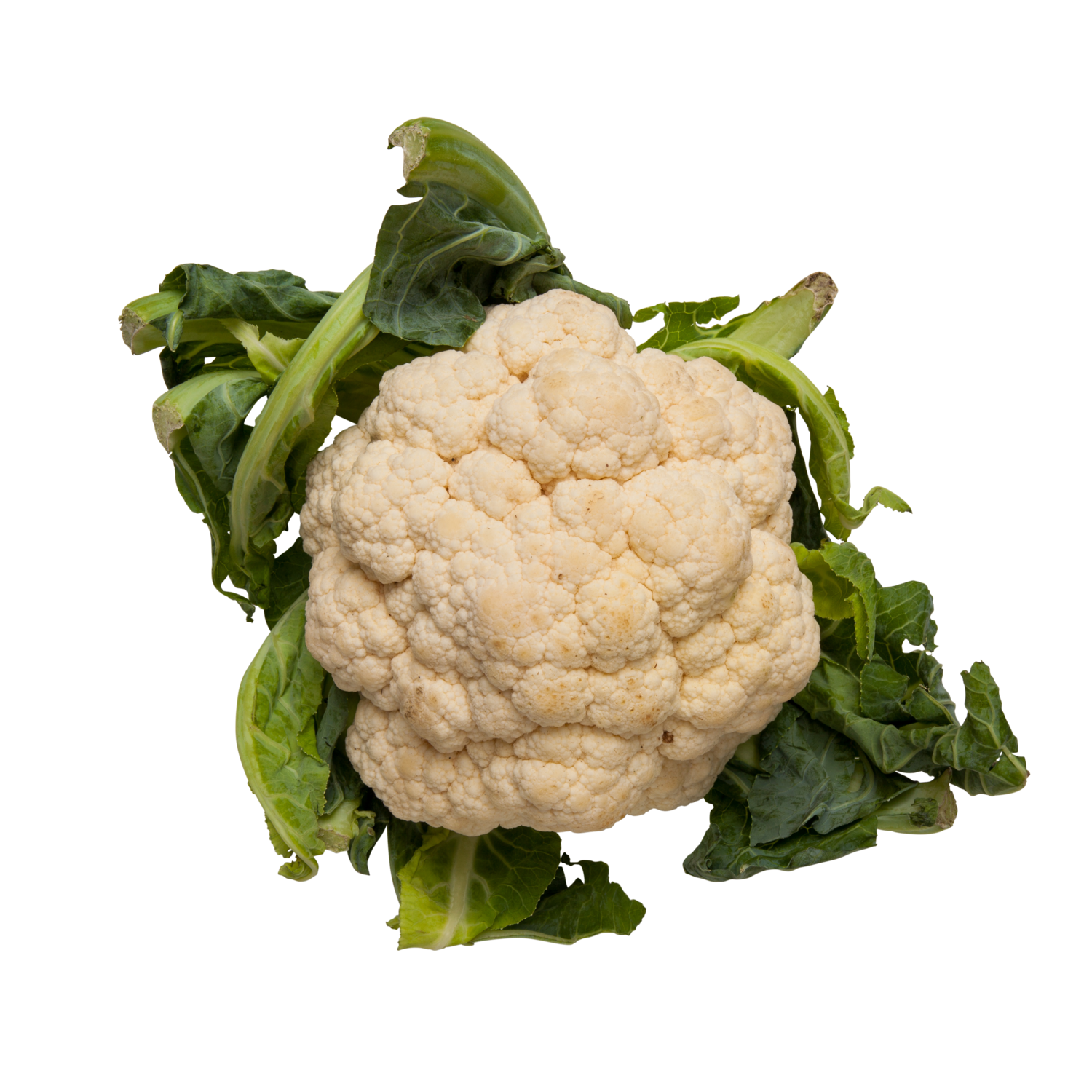 COLIFLOR COLIFLOR
