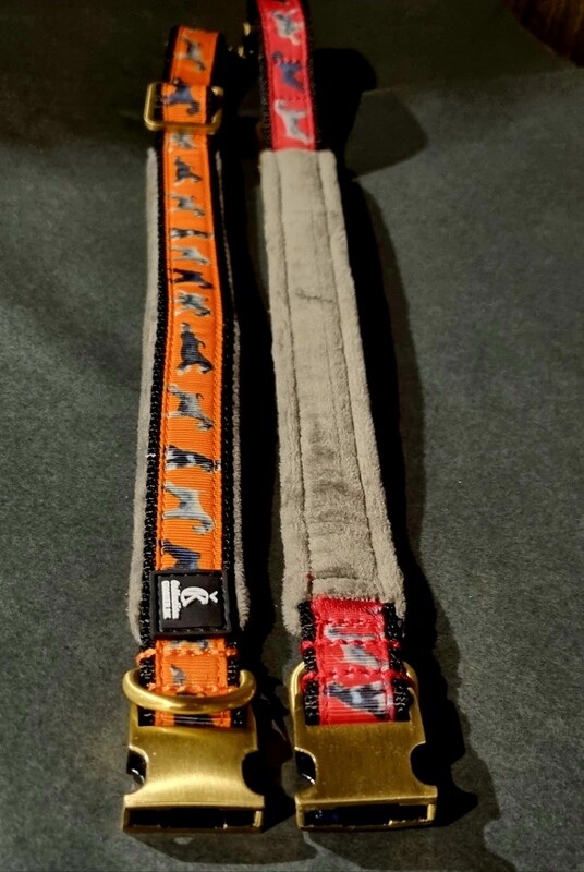 Collar MARTINGALE with schnauzers pattern 