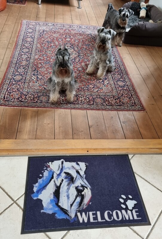 Doormat, Schnauzer welcome 50x70cm