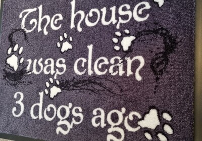 Doormat The house was clean, 50x70cm