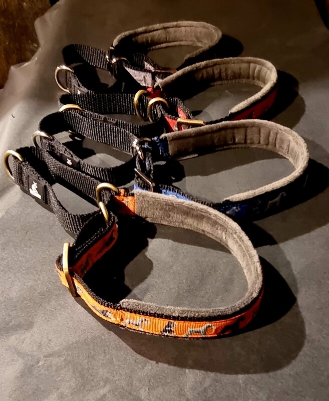 Size S schnauzer collar