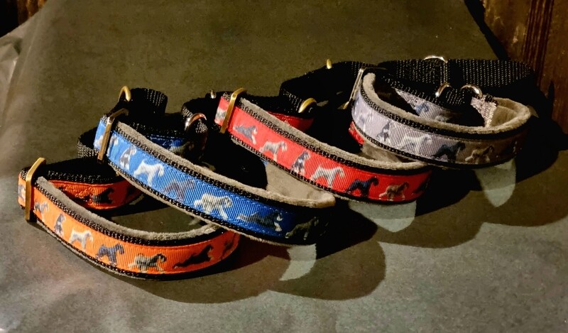 Size S schnauzer collar
