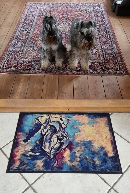 Doormat Schnauzer in colors, 50x70cm