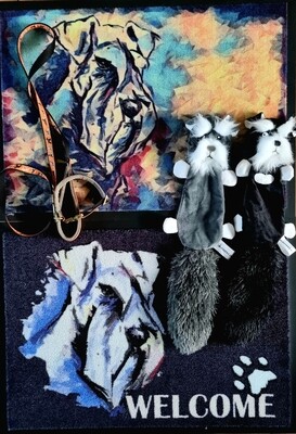 SCHNAUZER LOVER SET