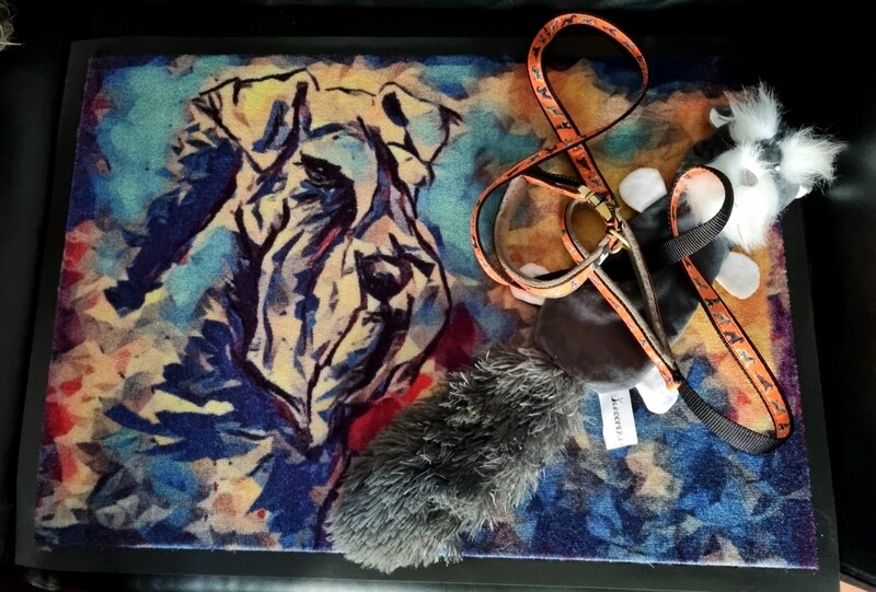 SCHNAUZER LOVER SET
