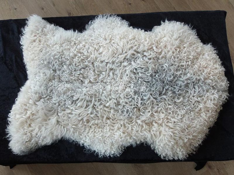 LUXURY GOTLAND SHEEP SKIN RUG ECO, grey cca 110cm