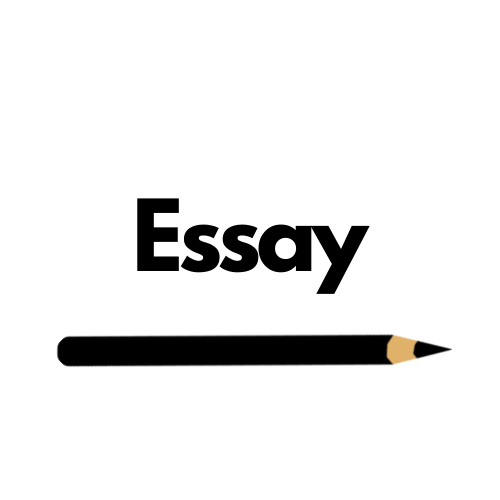 Essay