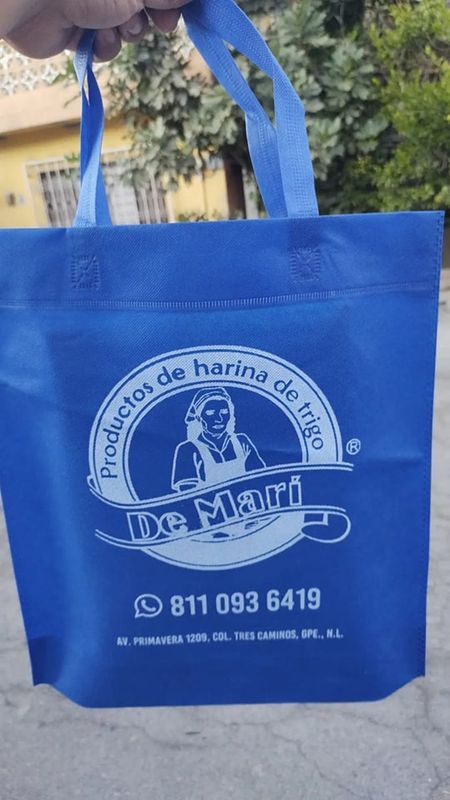 BOLSA ECOLOGICA CAMPAÑA 37X40X10CM