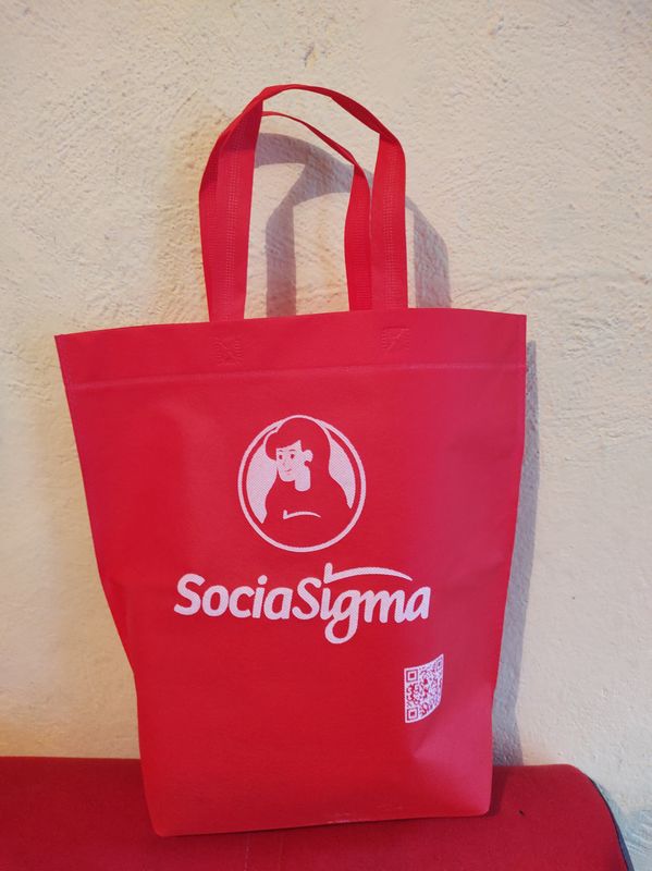 BOLSA ECOLOGICA CAMPAÑA 37X40X10CM