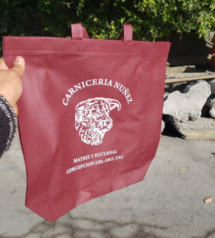 BOLSA ECOLOGICA LUNA 30X31X20CM