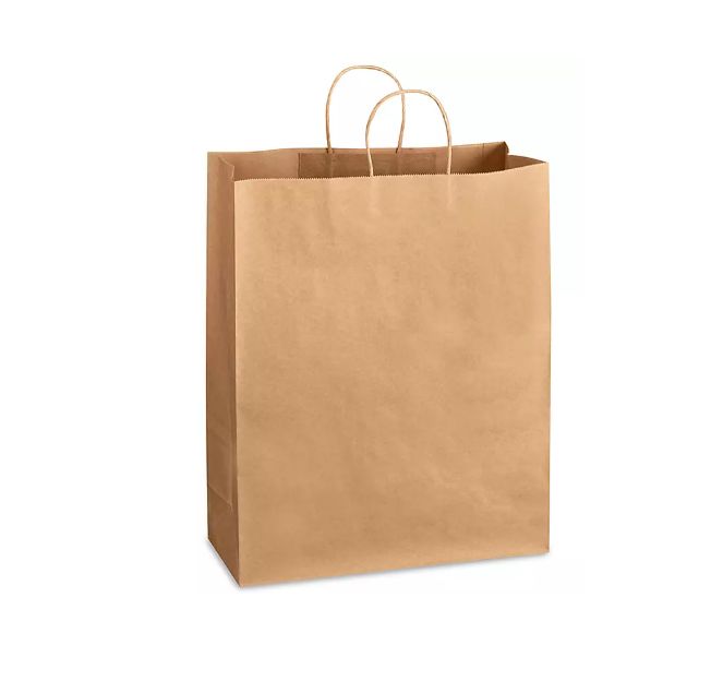 BOLSA ZAPATERA 33X40X18 SIN IMPRESION