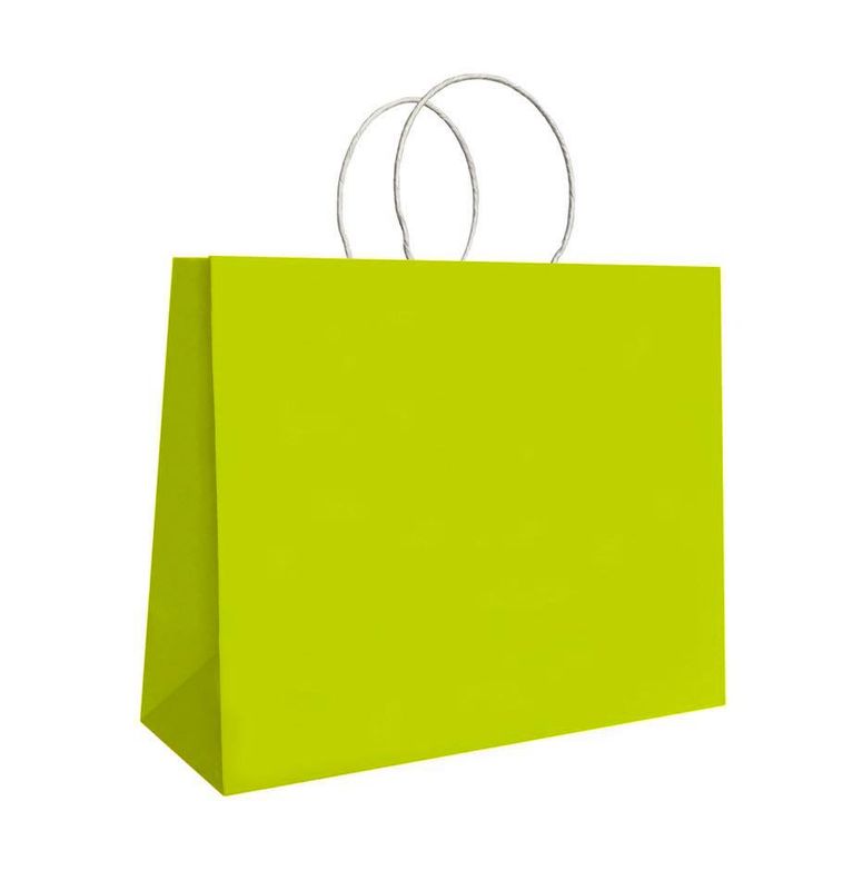 BOLSA HORIZONTAL CHICA 20X14X10