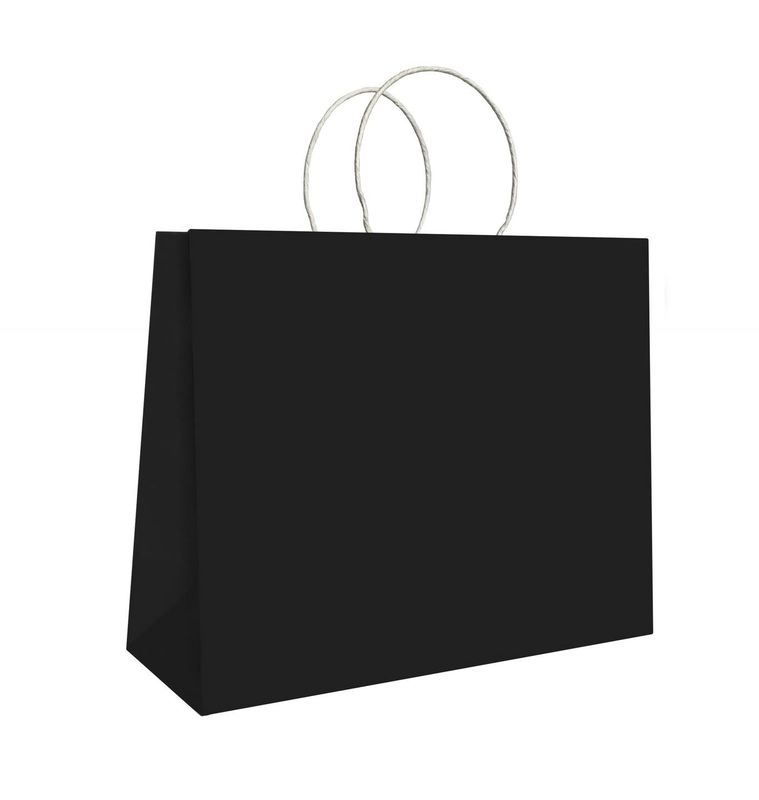BOLSA HORIZONTAL CHICA 20X14X10