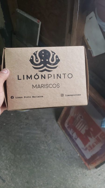 CAJA PINTO 20X16X7CM