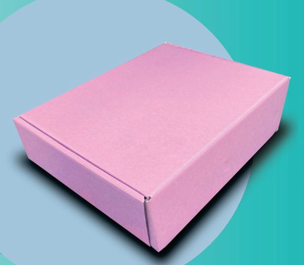 CAJA PARIS