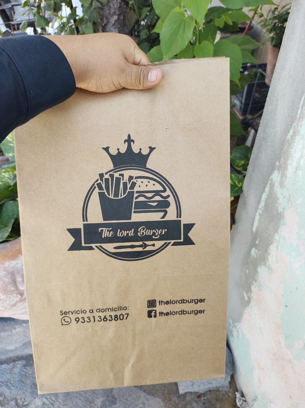 BOLSAS DELIVERY MEDIANA 25X41X16CM