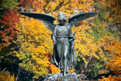 Central Park Walking Tour: Self-Guided