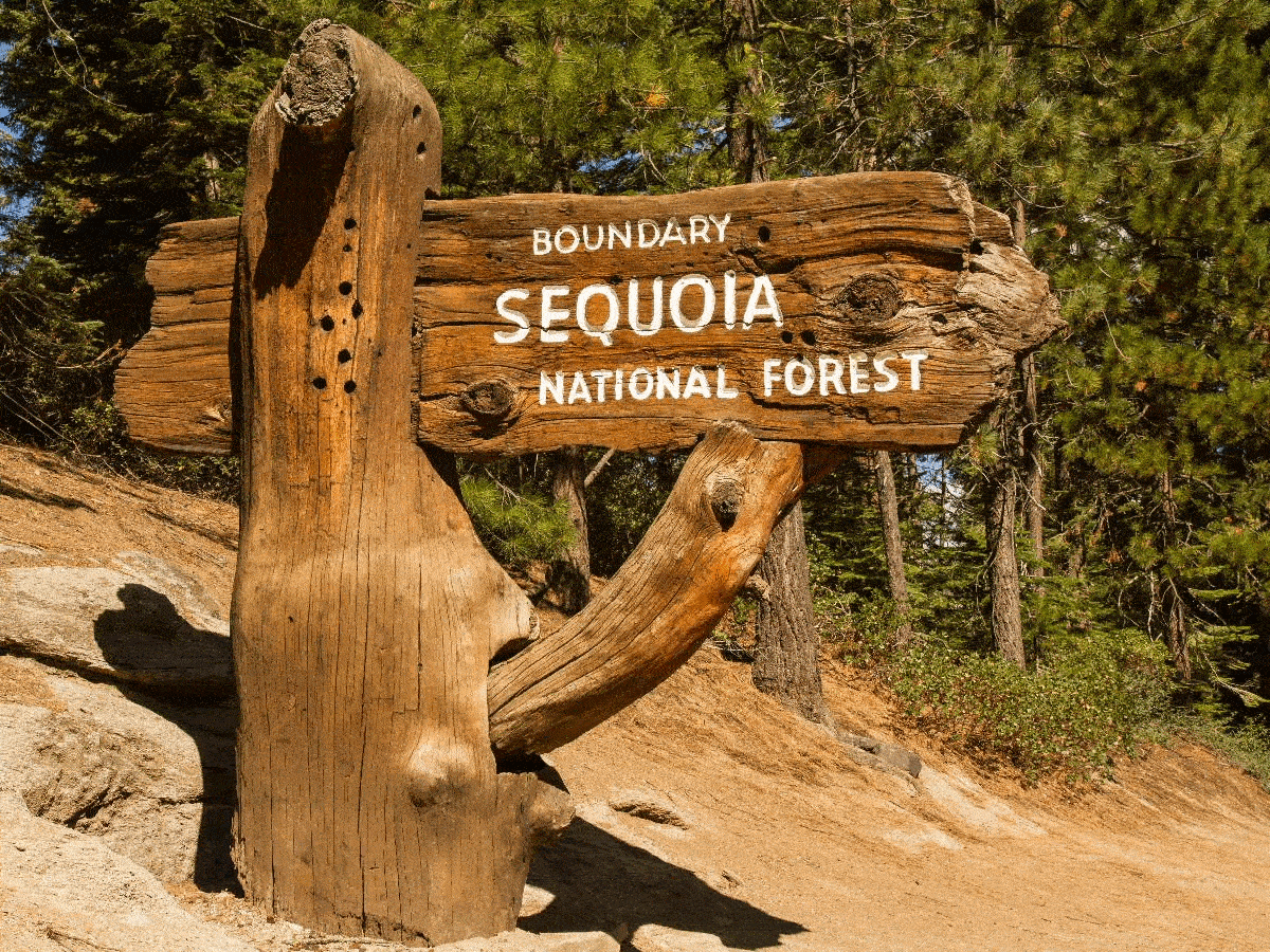 Sequoia & Kings Canyon National Park Self-Guided Driving Tour