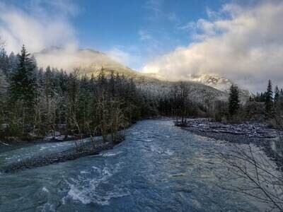 Olympic National Park Tour: Self-Guided Drive