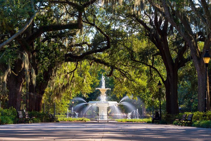 Self-Guided Savannah Walking Tour