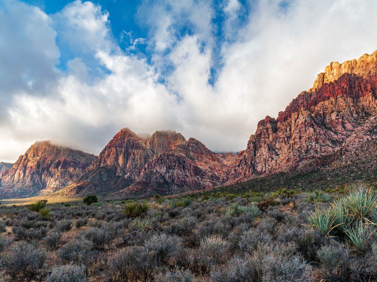 Red Rock Canyon Self-Guided Driving Tour