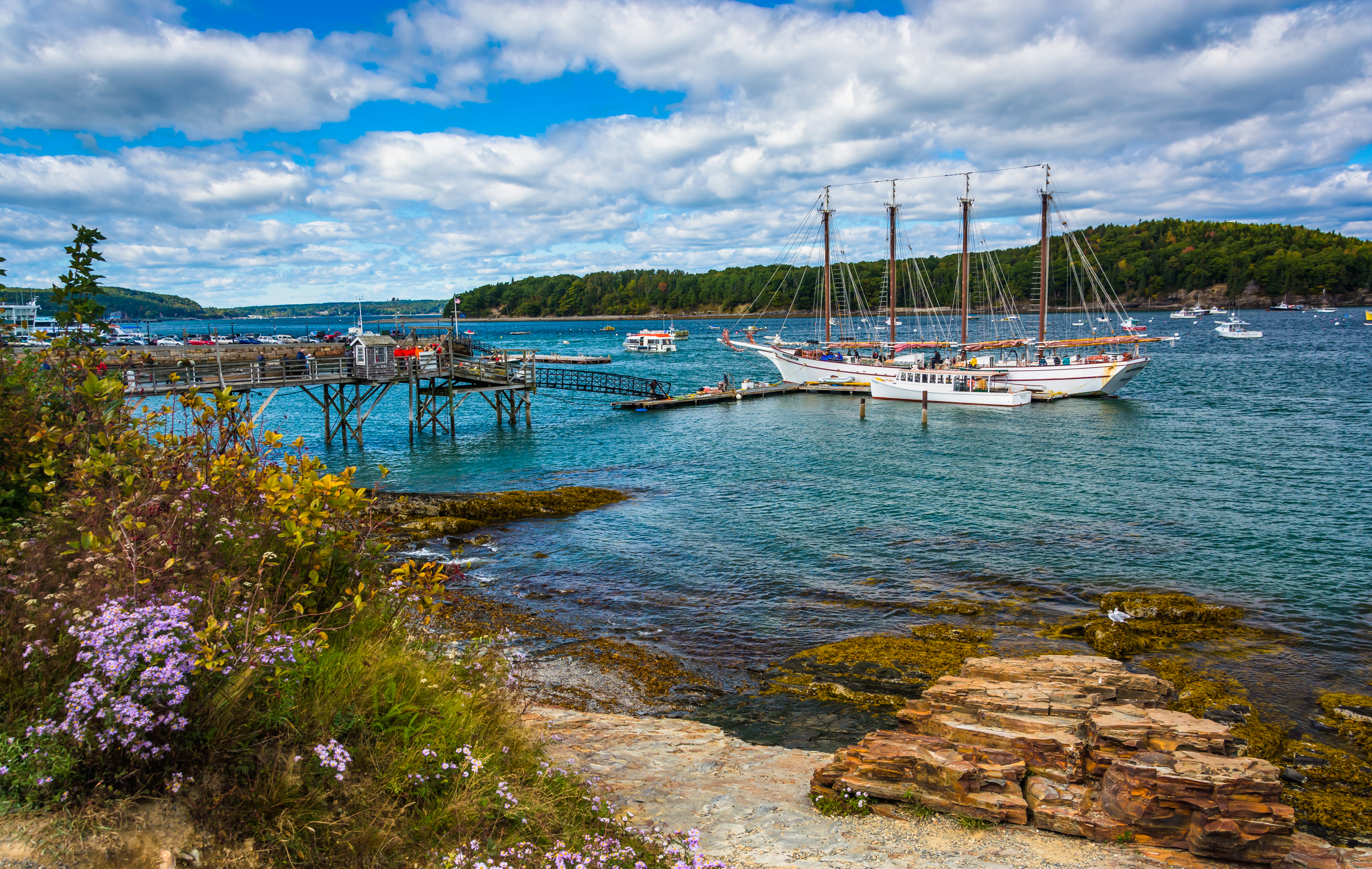 Acadia National Park & Bar Harbor Self-Guided Driving & Walking Tour (includes Cadillac Mountain)