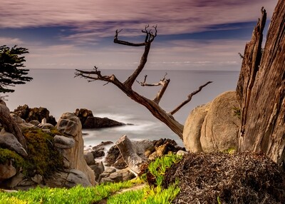 17 Mile Drive California Tour: Self-Guided