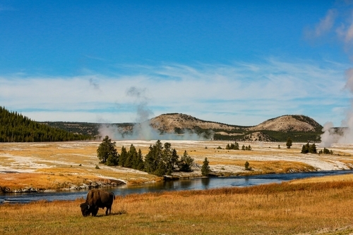 Yellowstone Old Faithful Self-Guided Walking tour