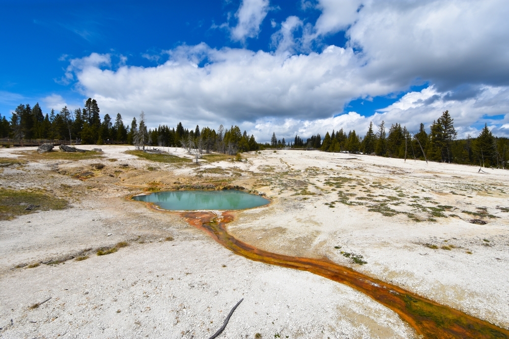 West Thumb Geyser Basin Self-Guided Walking Tour