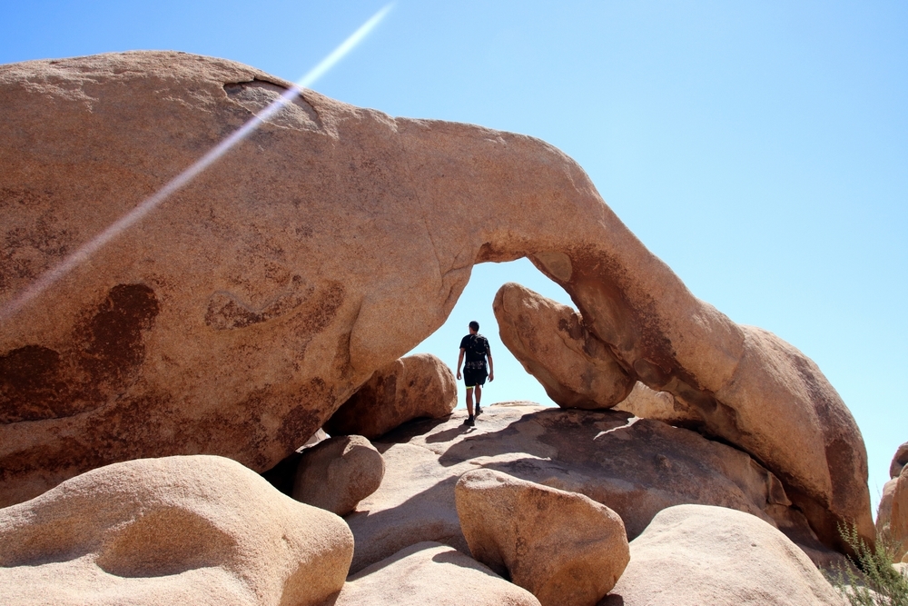 Palm Springs and Joshua Tree National Park Self-Guided Driving Tours Bundle