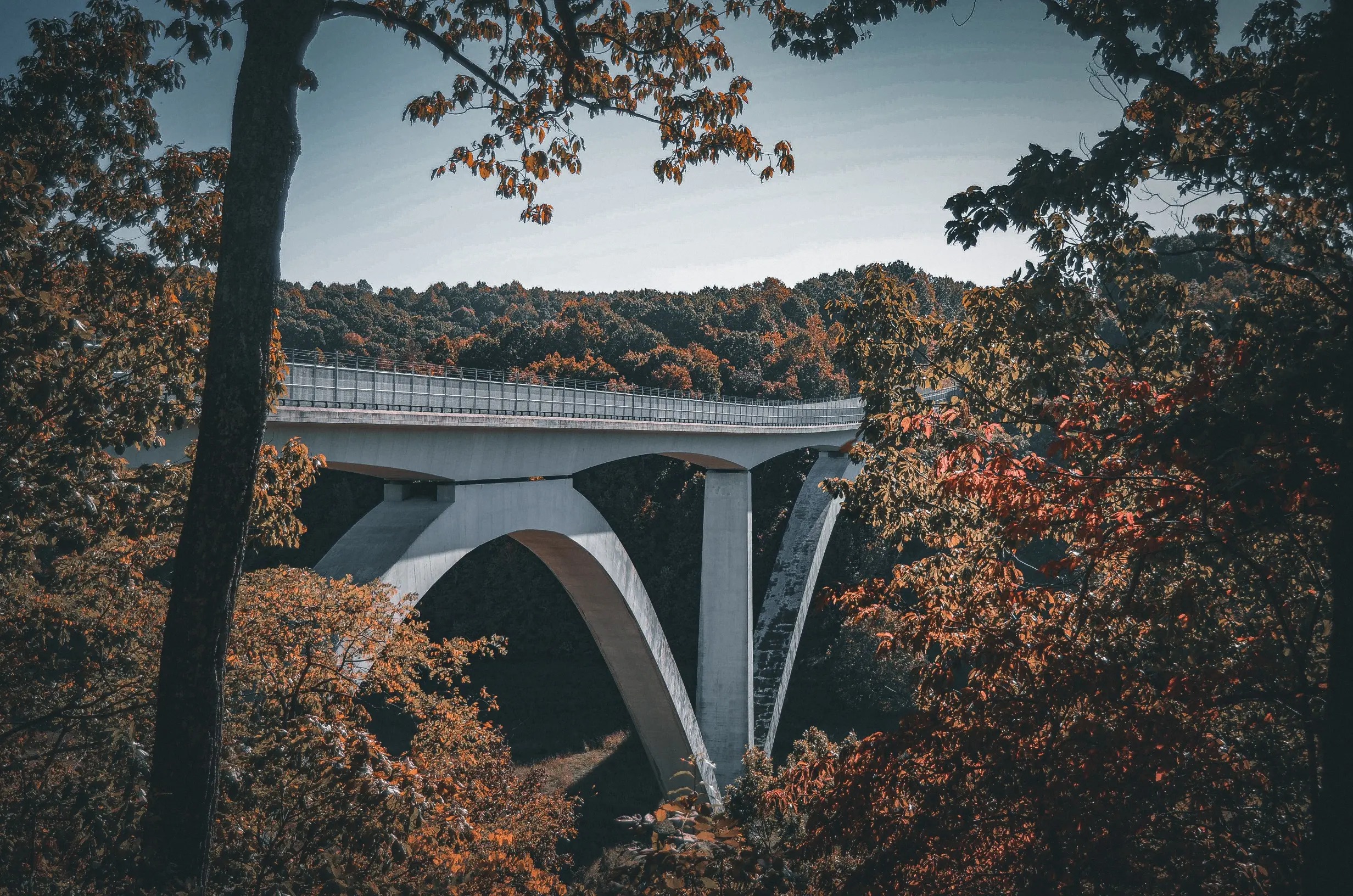 Natchez Tour: Self-Guided Drive of the Natchez Trace Parkway
