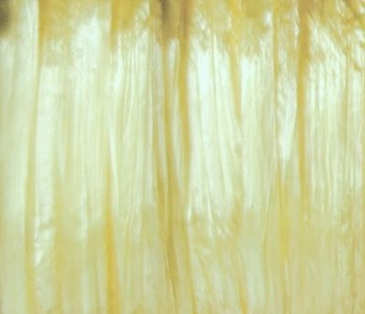 Raffia Ispie Shiny Canary 250 m - 110 gr