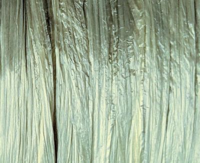 Raffia Ispie Champagne 250 m - 110 gr