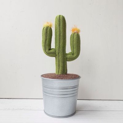 Patrón Cactus mexicano