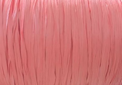 Raffia Ispie CORAL 250 m - 110 gr