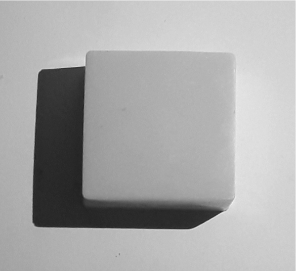 Natural Lasting Essence Soap