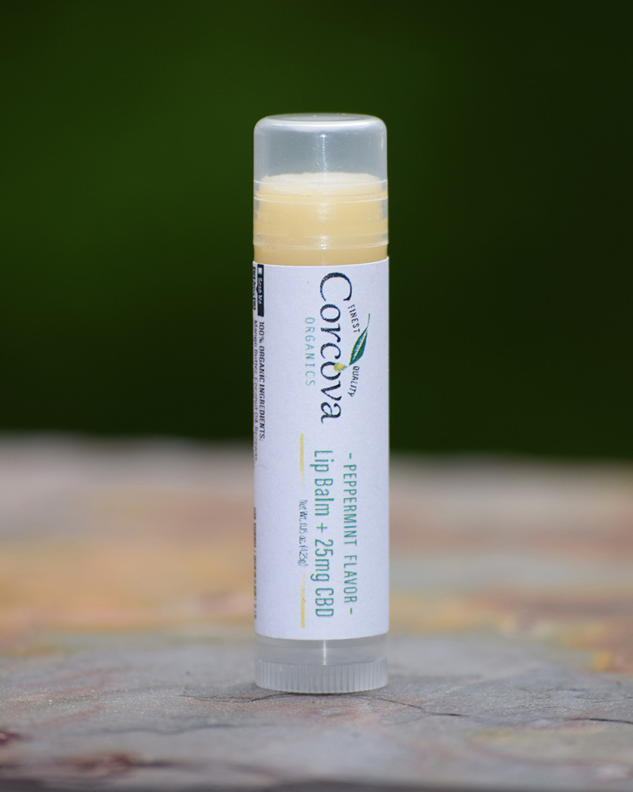Lip Balm + 25mg CBD