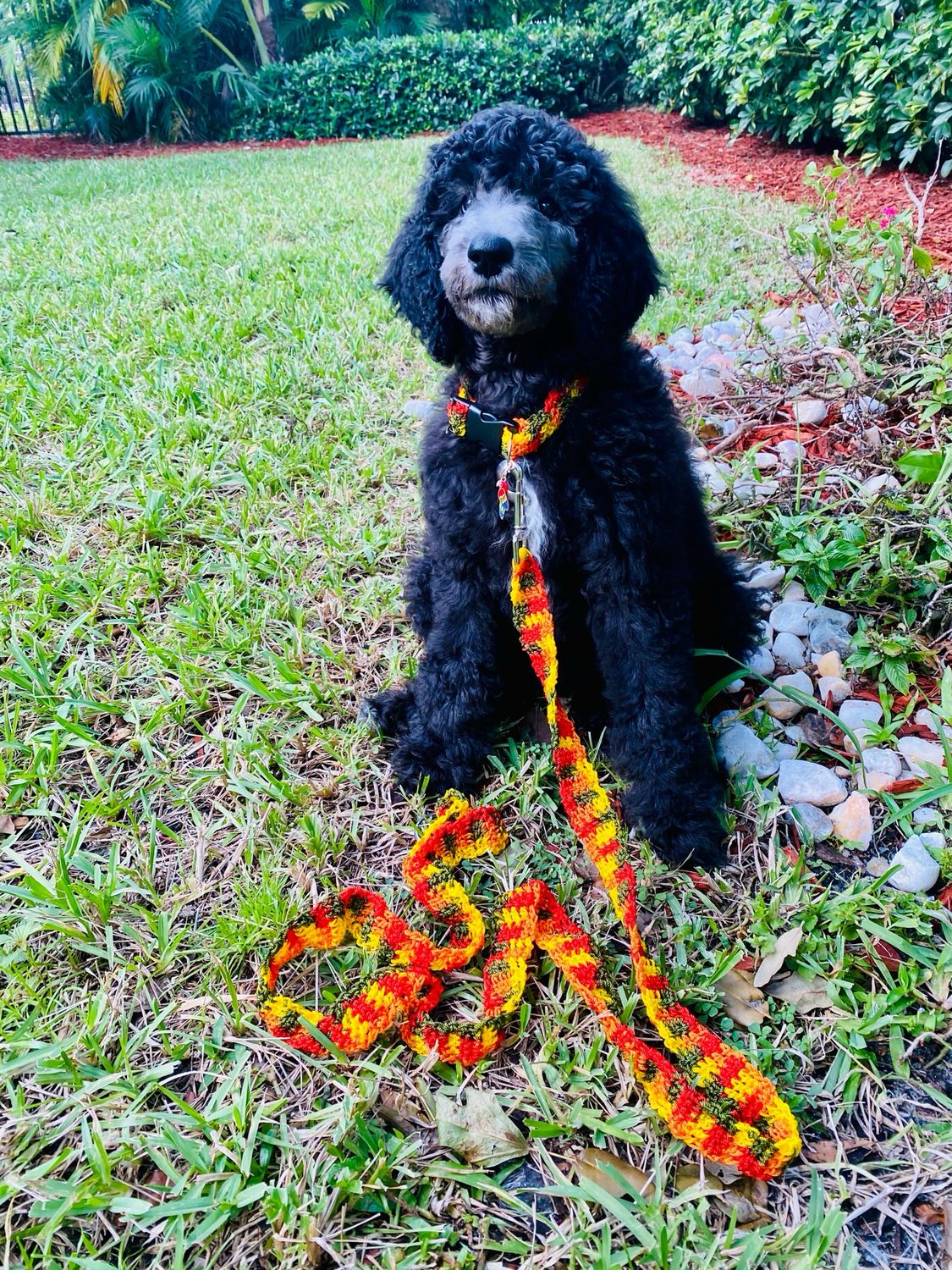 Crochet Dog Leashes