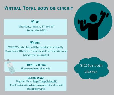 Virtual- Total Body Dumbbell Circuit