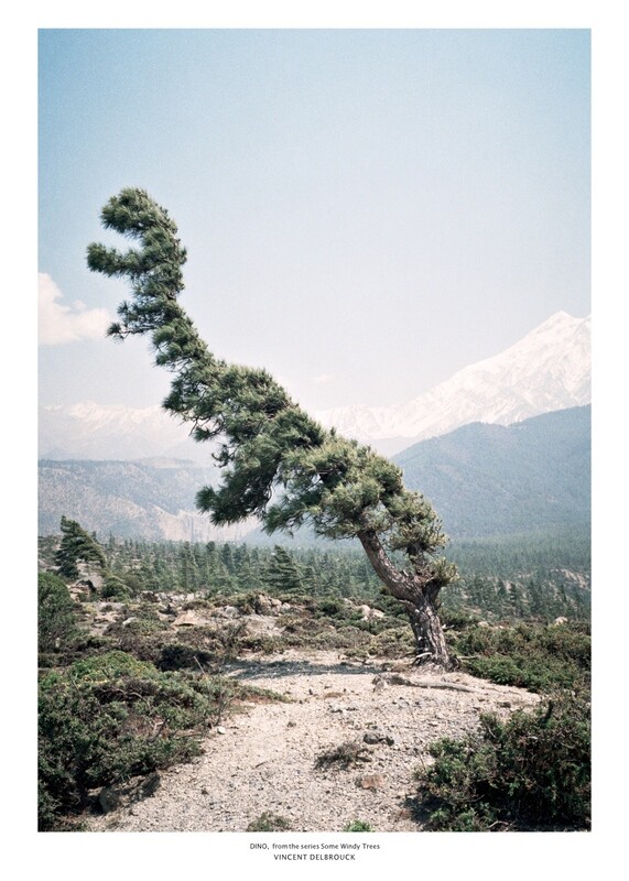 POSTER #001 DINO - LIMITED EDITION