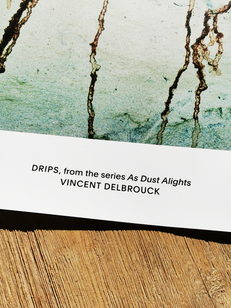 Vincent Delbrouck