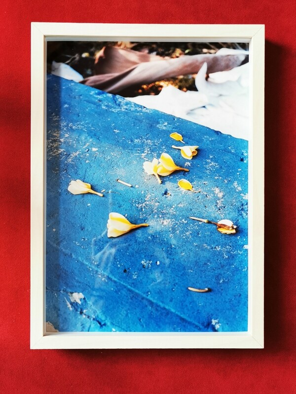 YELLOW PETALS