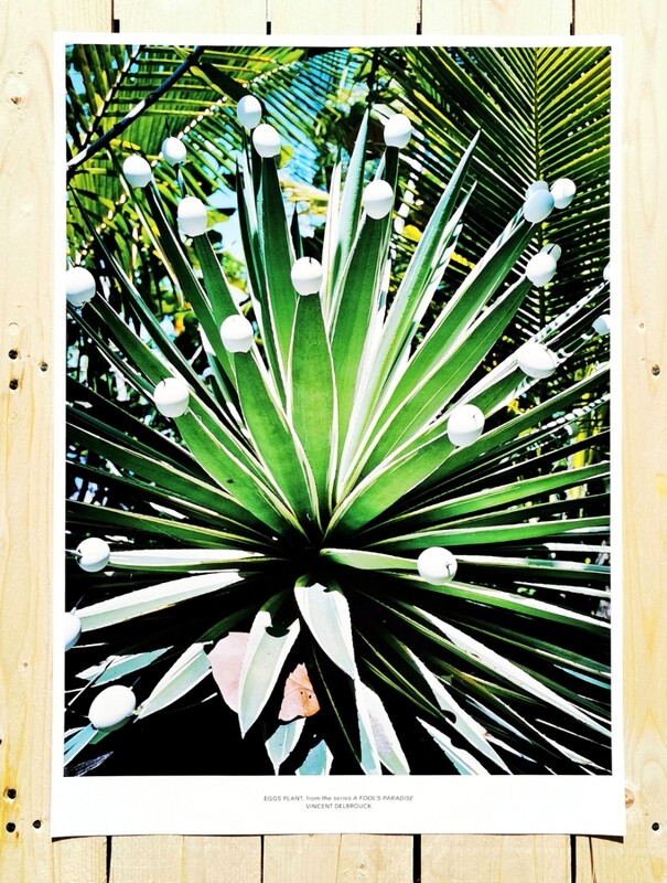 POSTER #009 EGGS PLANT